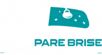 Logo NESS PAREBRISE Footer